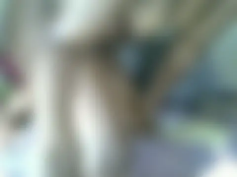 Sugarwhitney's Live XXX Chat