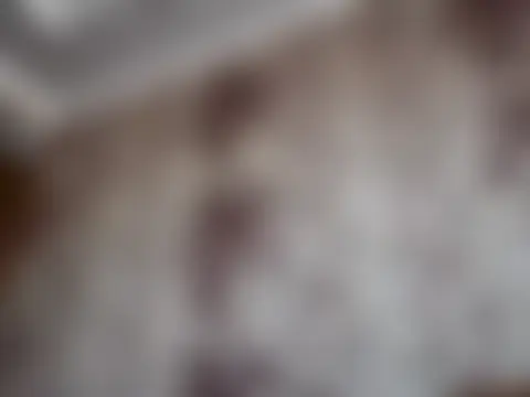 NikexPretty Live XXX-Chat