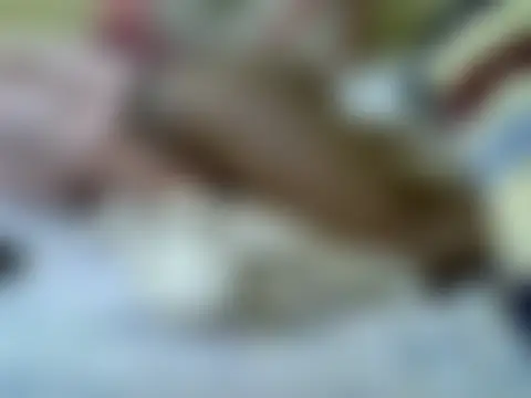 prettydomina1 Chat XXX live