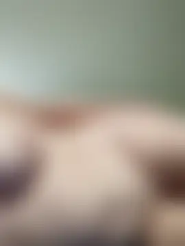 Palomita45's Webcam Show