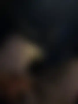 Show Webcam de MetaDaddy