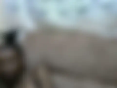 Sembang XXX Secara Langsung Ebonybb