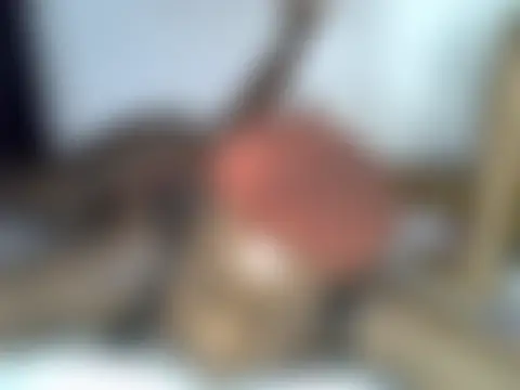 Queennmodell 라이브 XXX 채팅