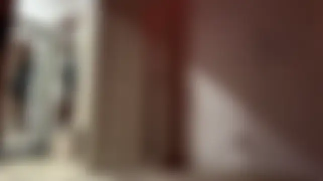 Show Webcam de StephByStep