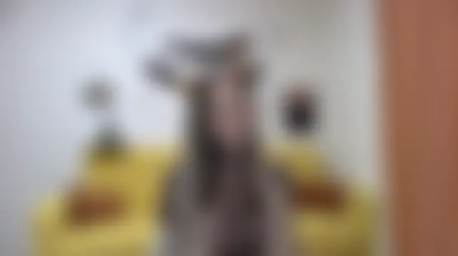 Czat XXX na żywo – MilyBily