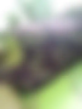 golugulu's Live XXX Chat