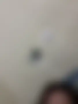 Lunabaobei Obrolan Langsung XXX