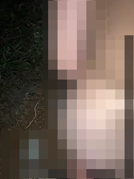 royalgirls_x's Webcam Show