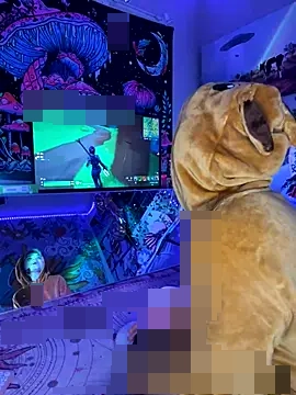 Cutiepiespanks' Webcam Show