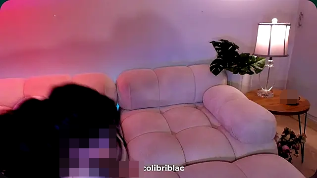 ColibriBlack's Webcam Show