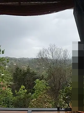 Rose-andres' Webcam Show