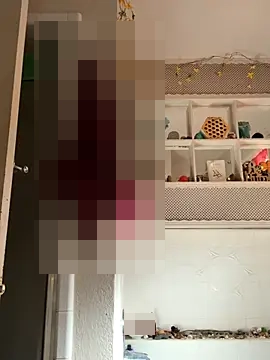 ClumsyLink's Webcam Show