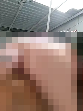 Kitty_Melodi's Webcam Show