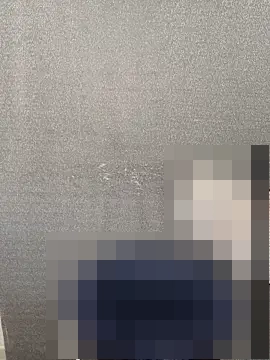 ToyaThick's Webcam Show