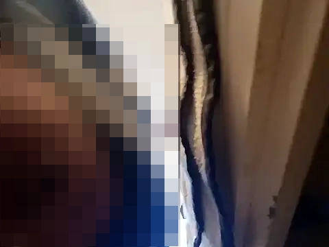 SweetnessSugar's Webcam Show