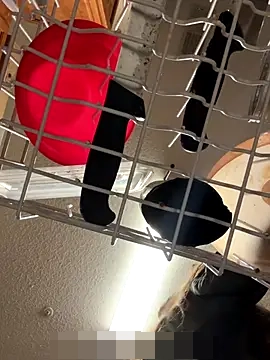 secretknight_Mrmask's Webcam Show