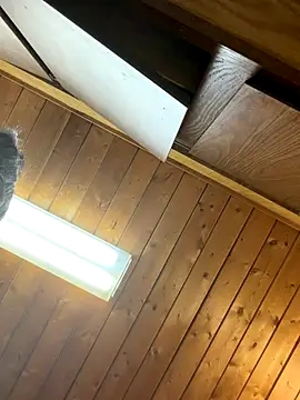 odbodu's Webcam Show