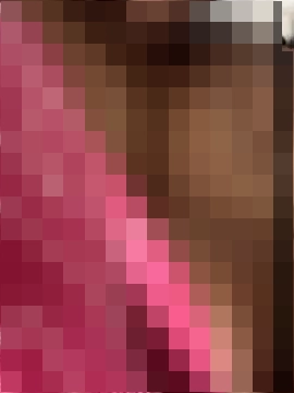 nintendhoe's Webcam Show