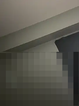 ToyaThick's Webcam Show