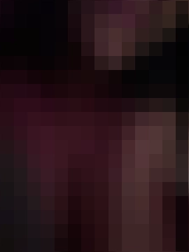 nintendhoe's Webcam Show