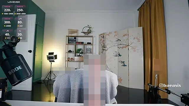 baeasian's Webcam Show
