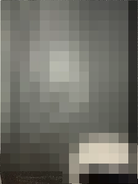 ToyaThick's Webcam Show