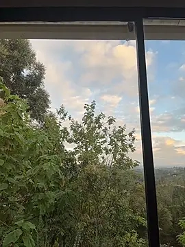 Rose-andres' Webcam Show