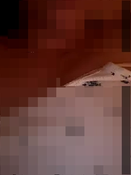 honeyrose222's Webcam Show