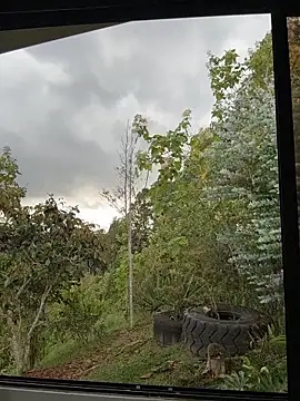 Rose-andres' Webcam Show