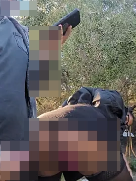 DarkDea's Webcam Show