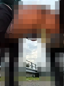 fit_vic's Webcam Show