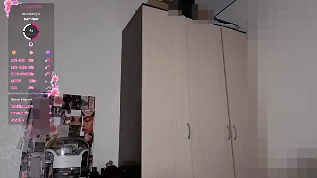 BabySofa's Webcam Show