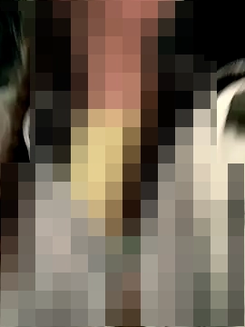 FroggyAnna's Webcam Show