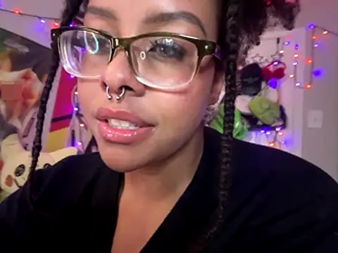 nintendhoe's Webcam Show