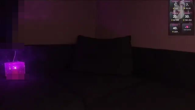 Handsomepure's Webcam Show