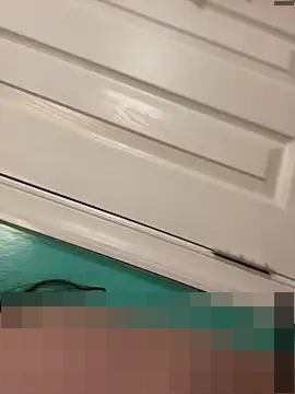 bellywelly69420's Webcam Show