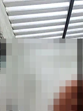 Sweed-virgin-pussy's Webcam Show