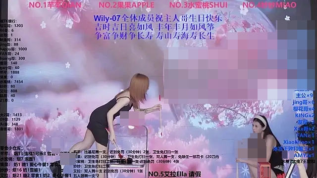 Wily-07's Webcam Show