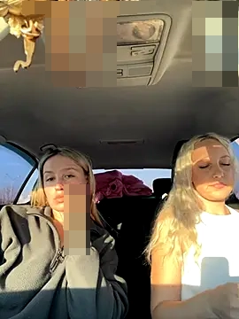 MerlinDave's Webcam Show