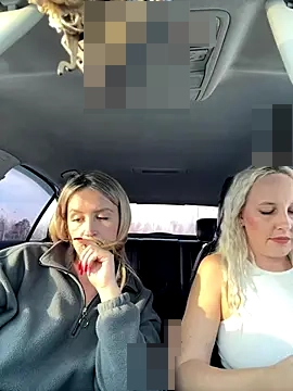 MerlinDave's Webcam Show