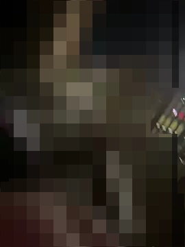 anikari's Webcam Show