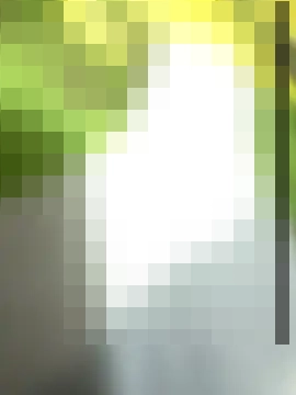 chocolatestrawberrydips' Webcam Show