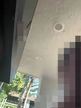 sweetsirenn's Webcam Show