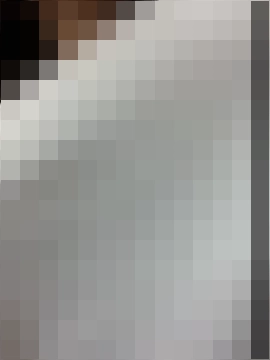 ReggieG's Webcam Show