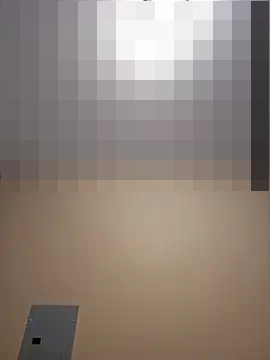 AmethystFoxx's Webcam Show