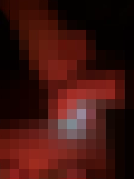 DollyTall's Webcam Show