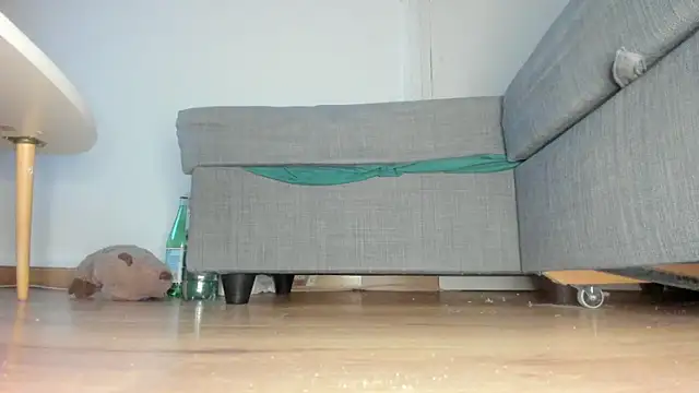 Squirtlady38 실시간 채팅방