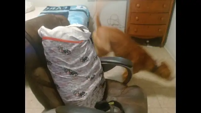 Show webcam de DADDY_KANE8---