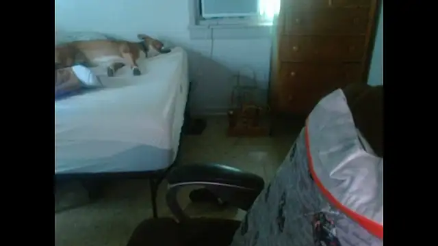 DADDY_KANE8--- webkamerás műsora