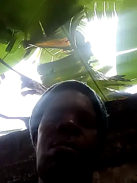 stable_23 Webcam Show